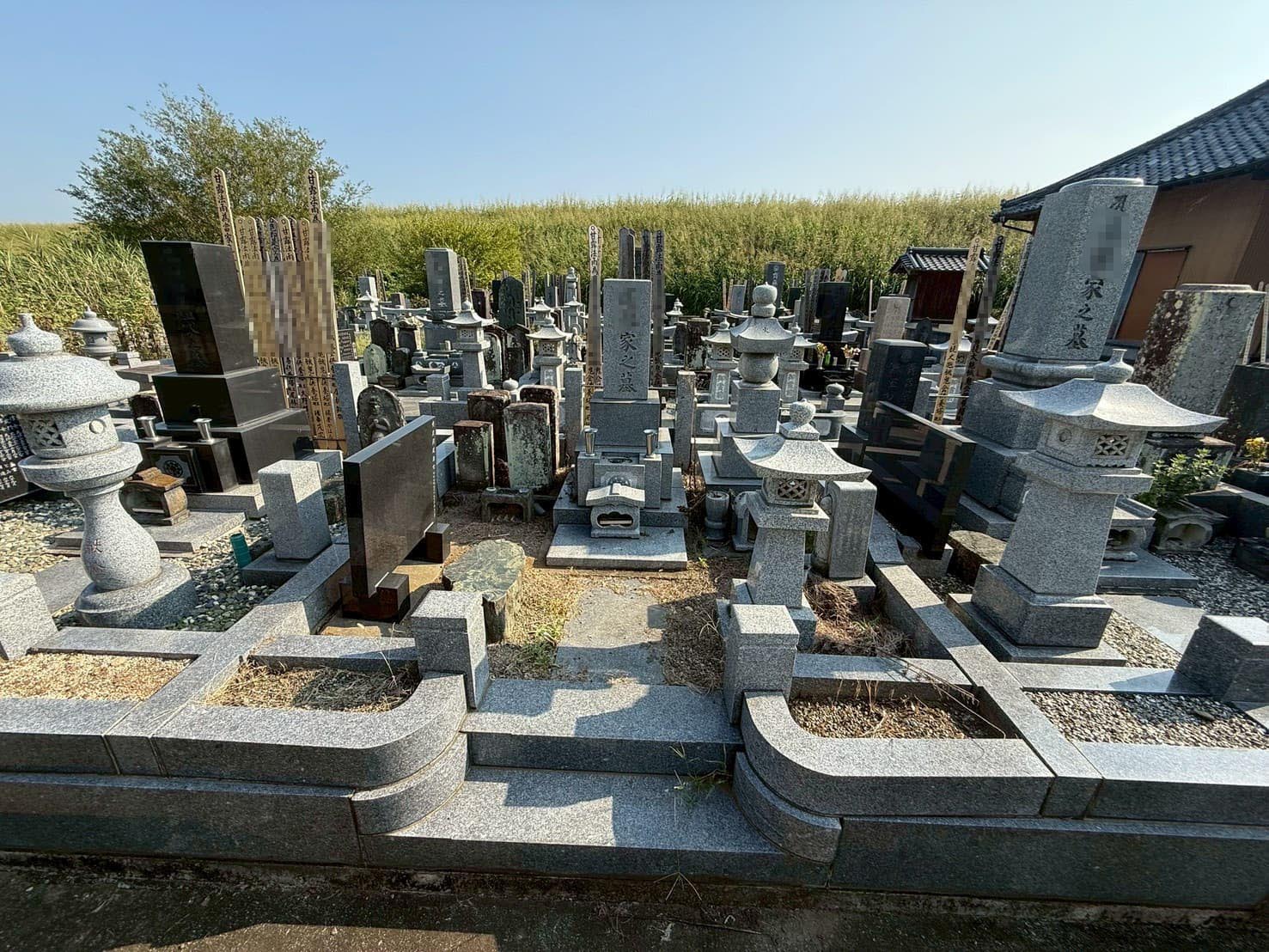 防草施工前の様子