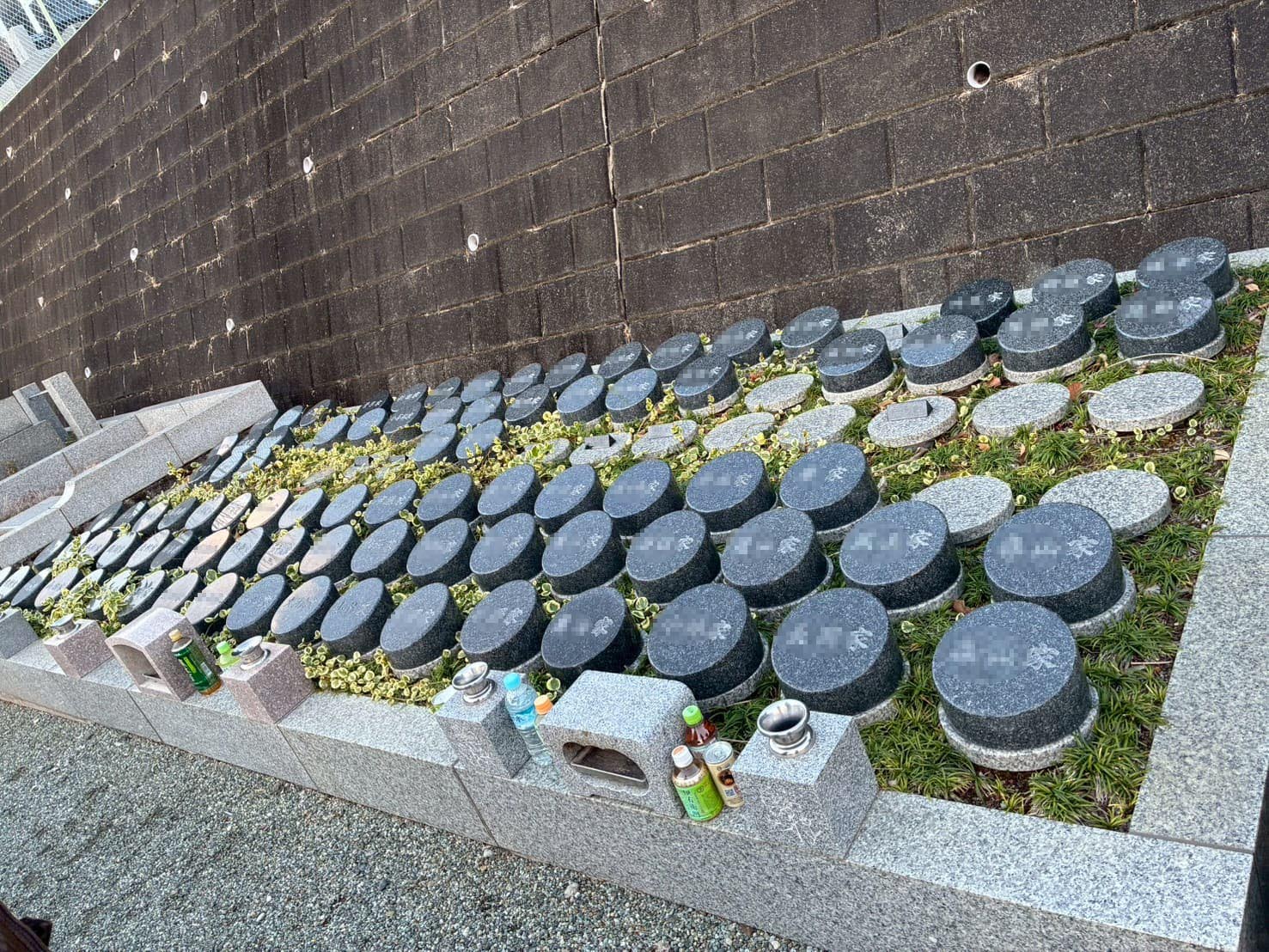 四季折々の花々